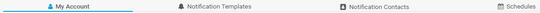 Account Settings Tabs Account Settings Tabs
